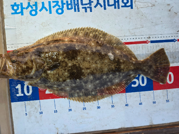 KakaoTalk_20260515_161139878_01.jpg