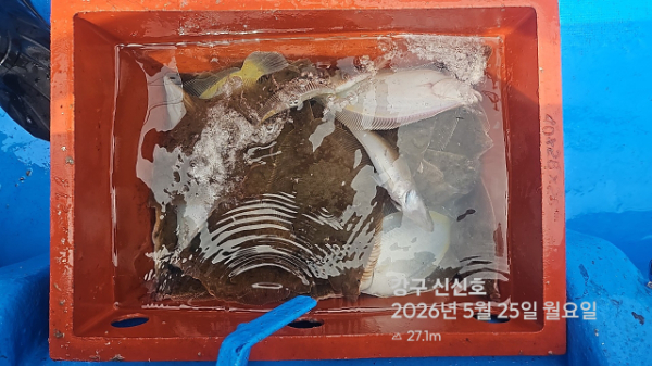 신신낚시 강구점 신신호_사진_20260525_6.jpg