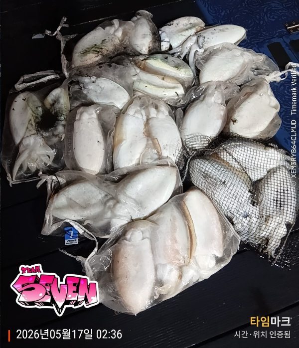 0_g45Ud018svc13krm73ys2pzc_82sd02.jpg