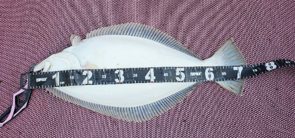 1000053830.jpg