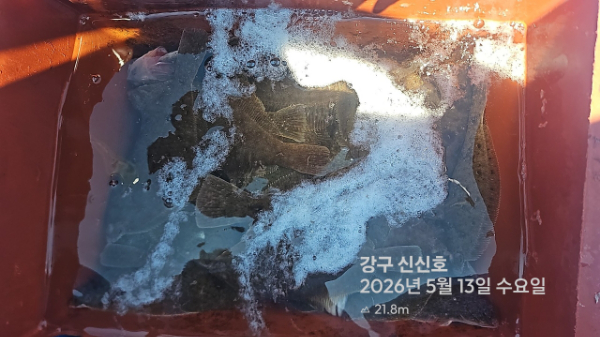 신신낚시 강구점 신신호_사진_20260513_13.jpg