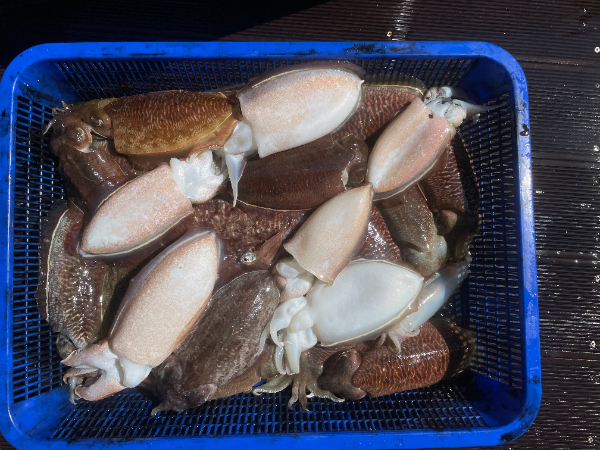 1000052487.jpg