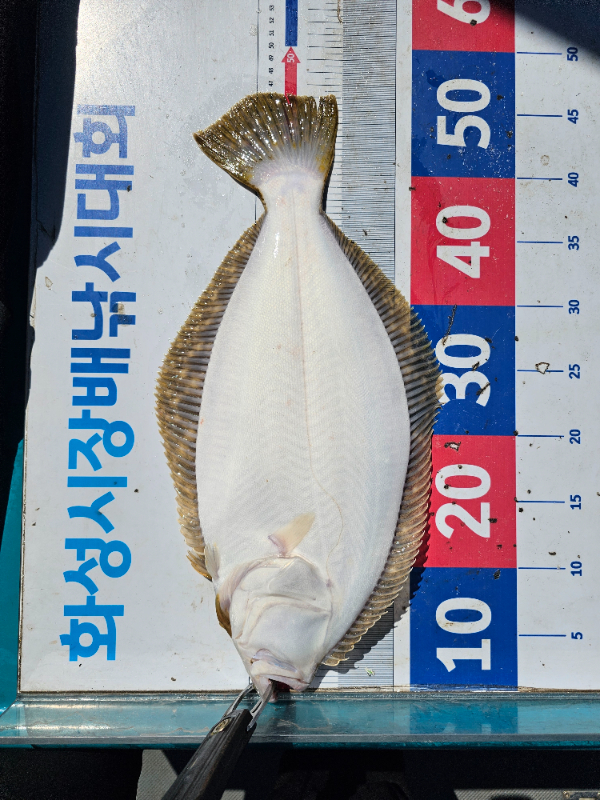 KakaoTalk_20260505_172717350_23.jpg
