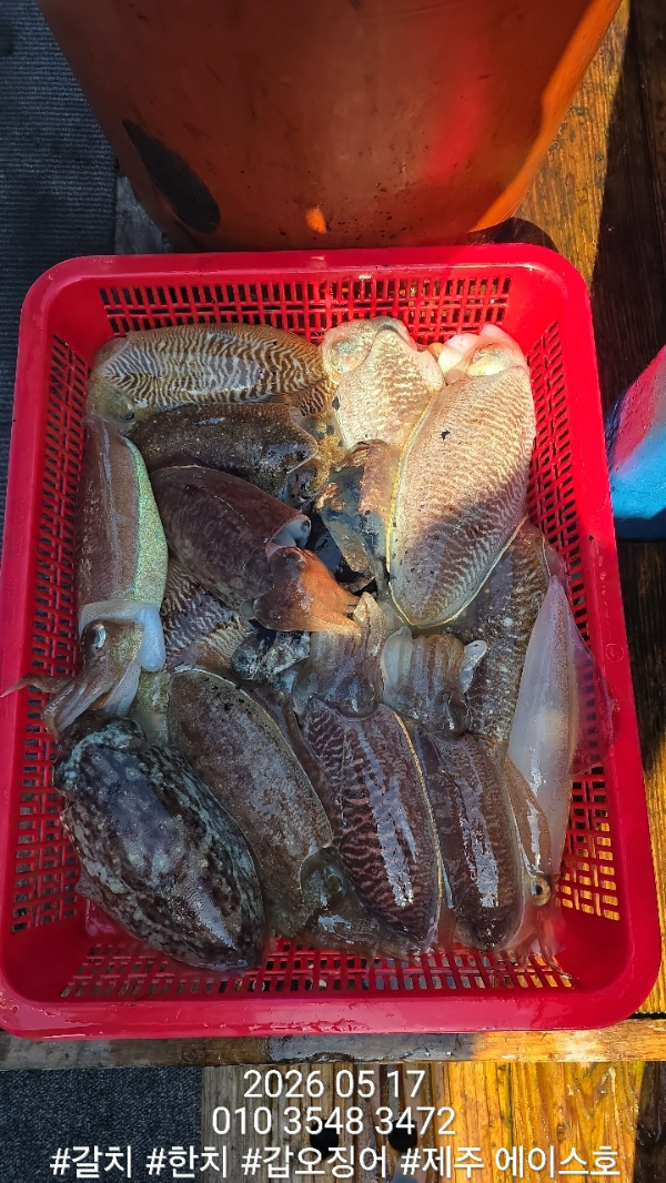 KakaoTalk_20260517_194920443_09.jpg
