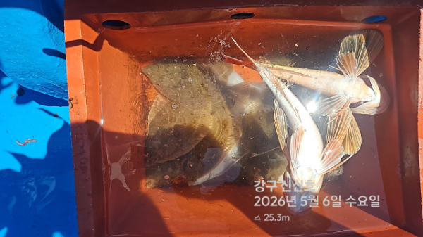 신신낚시 강구점 신신호_사진_20260506_11.jpg