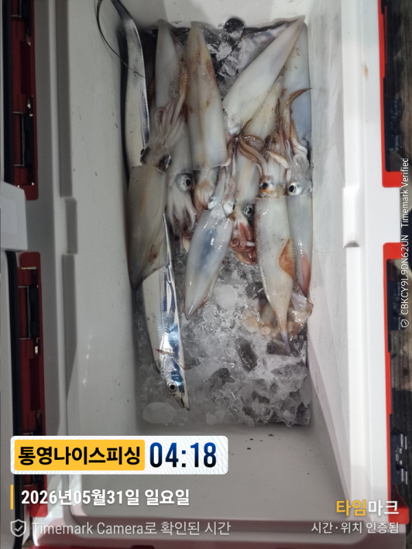2026-05-31 04.18.39__(제목-통영나이스피싱).jpg