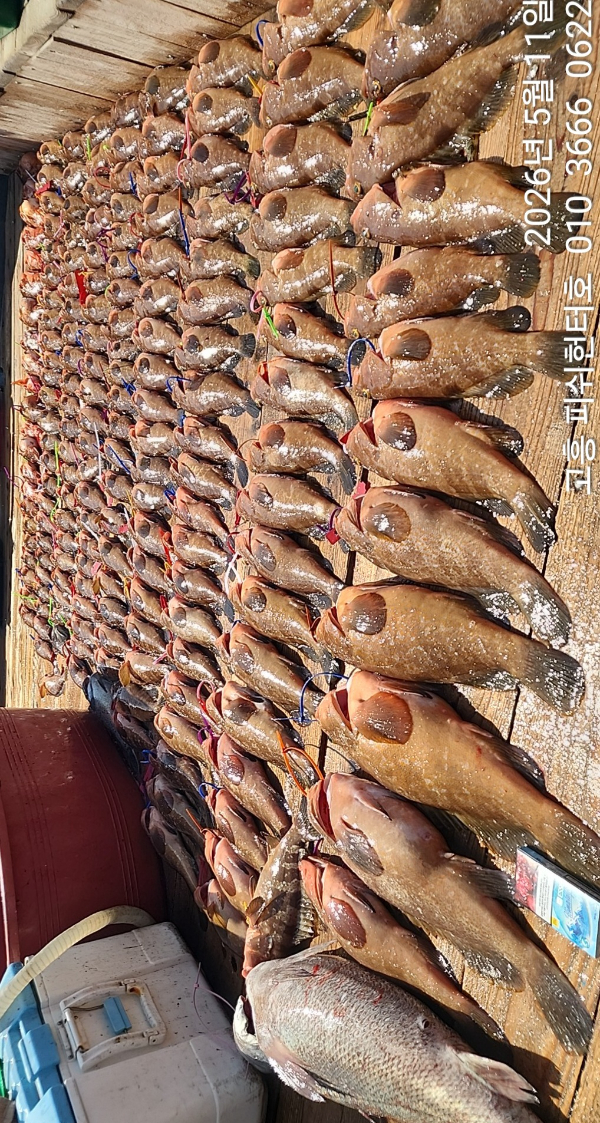 1000103107.jpg