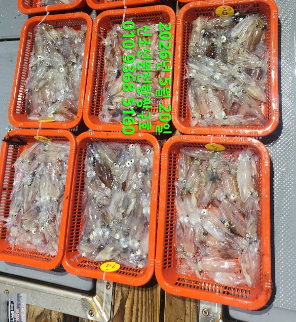 KakaoTalk_20260520_101625043.jpg
