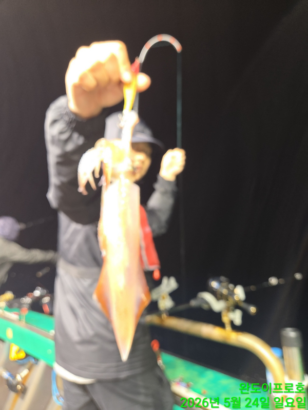 KakaoTalk_20260526_093908667_04.jpg