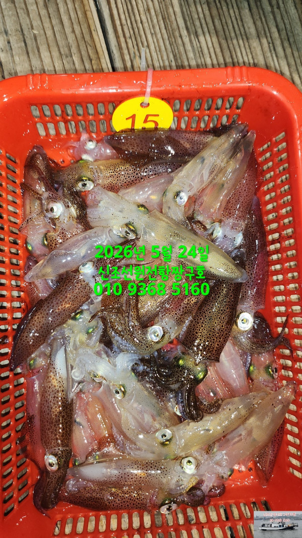 KakaoTalk_20260524_040646238_04.jpg