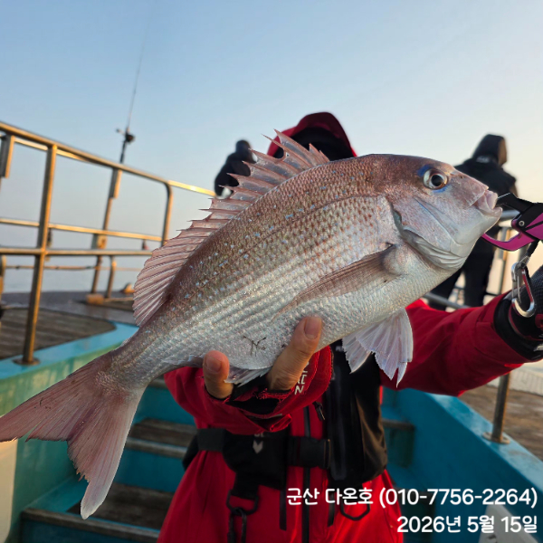 KakaoTalk_20260515_132328455_05.jpg