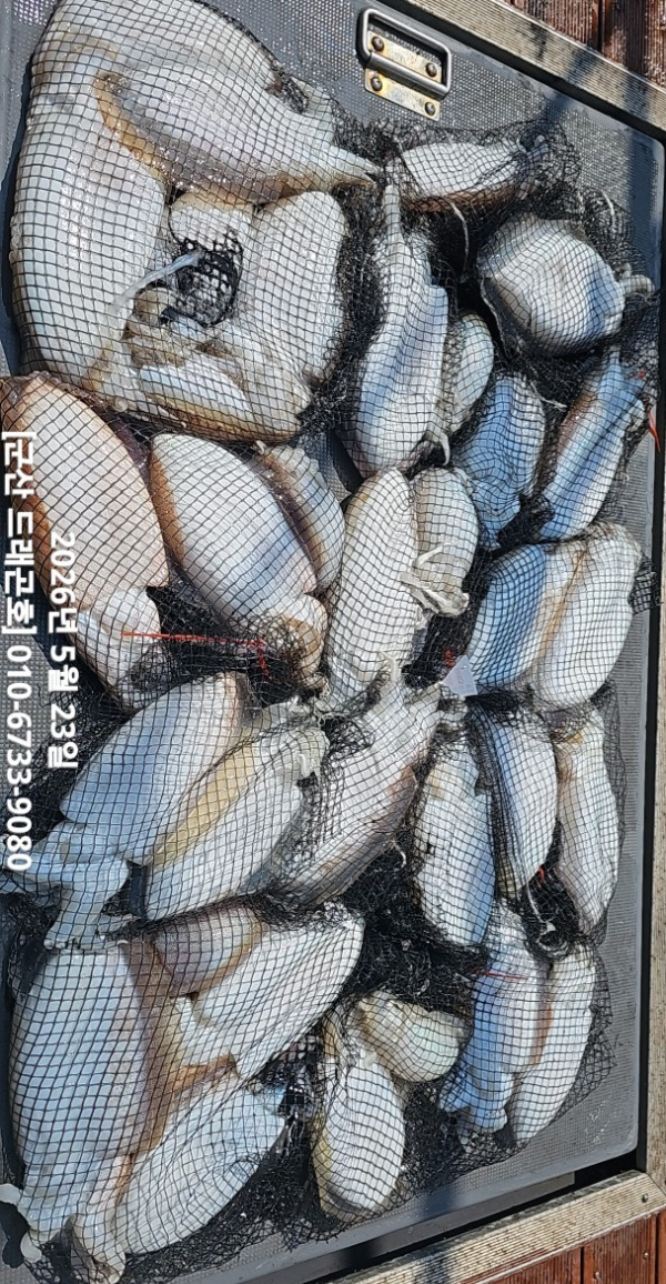 1000098532.jpg