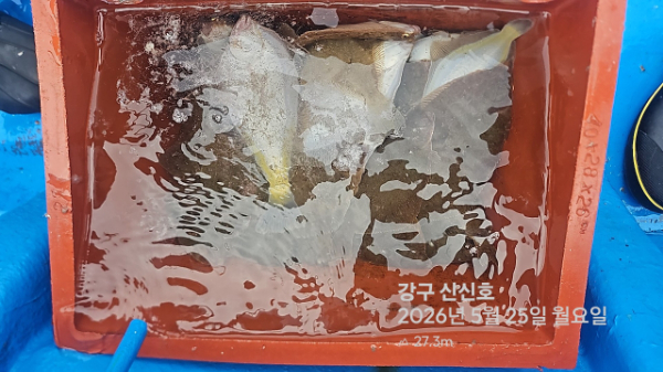 신신낚시 강구점 신신호_사진_20260525_11.jpg