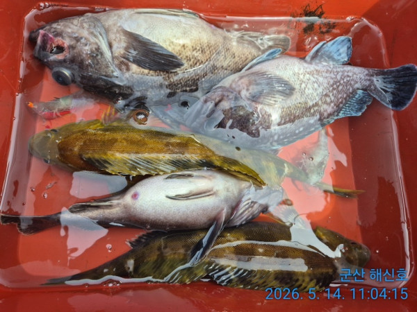 군산해신호_사진_20260514_7.jpg