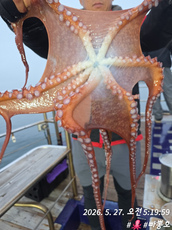 0408A60F-A740-4888-9229-3C5564E0A6C8.jpeg