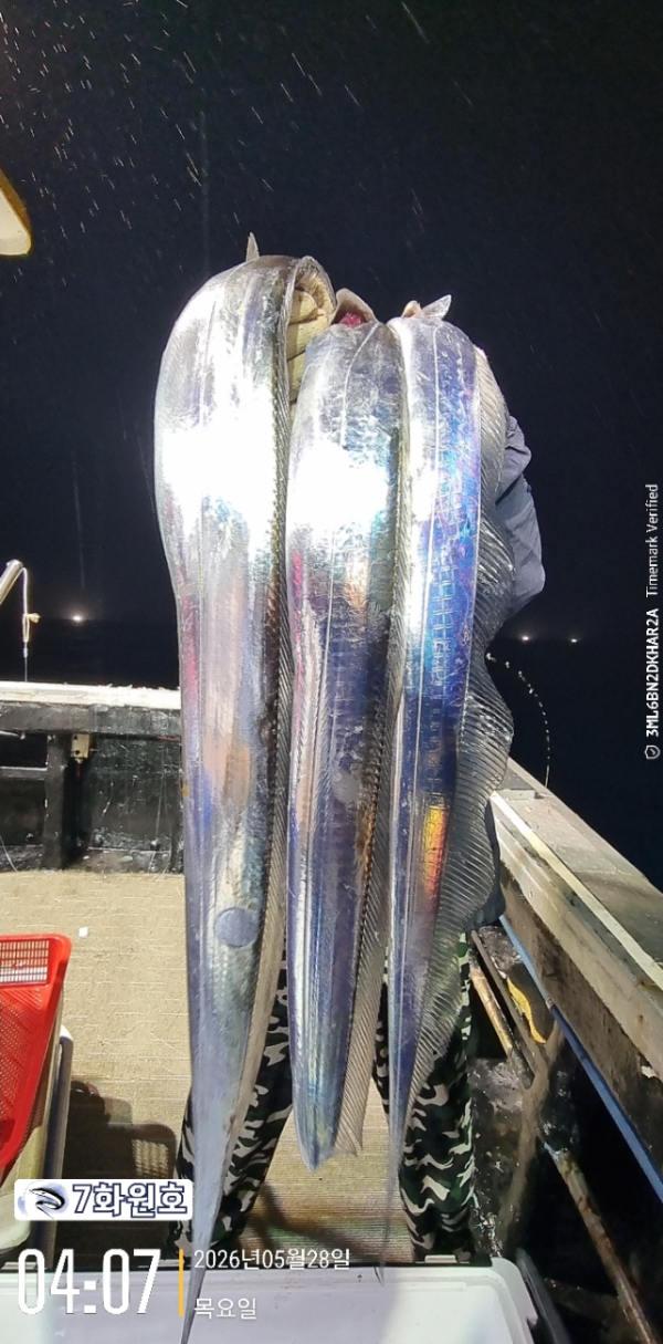 D3BBC927-5718-49E4-A92A-92A7FF5B9AA5.jpeg