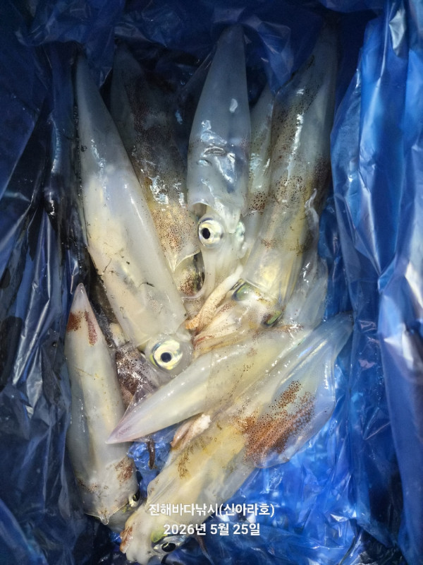 바다꾼낚시(신아라호)_사진_20260525_14.jpg