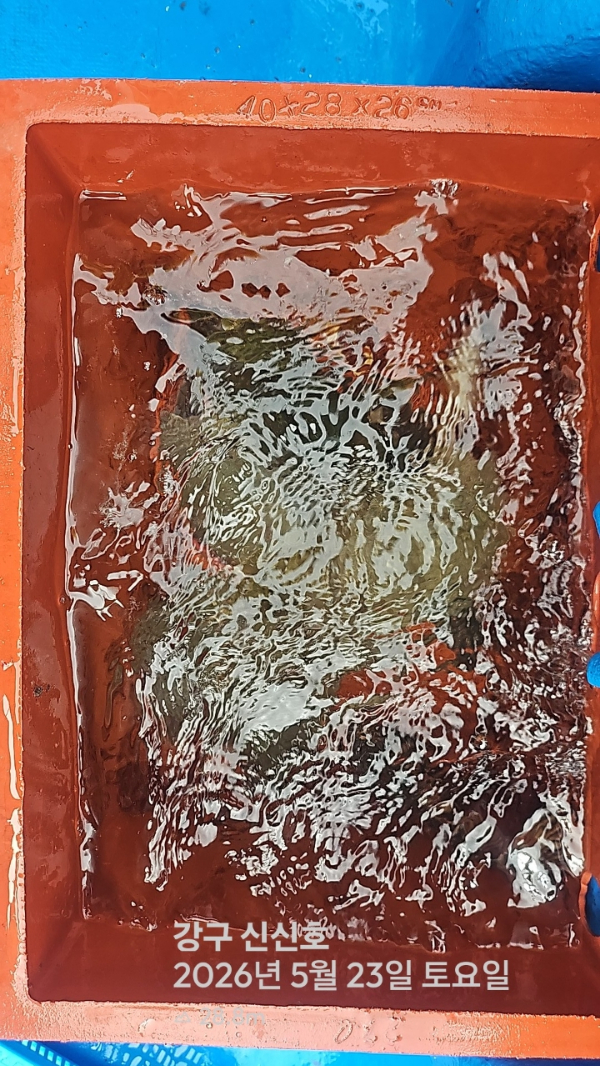 신신낚시 강구점 신신호_사진_20260523_6.jpg
