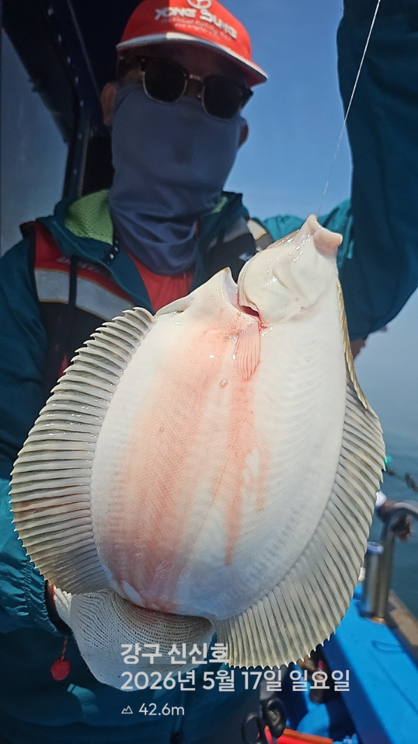 신신낚시 강구점 신신호_사진_20260517_9.jpg
