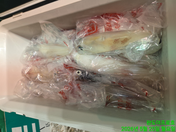KakaoTalk_20260526_093912491_01.jpg