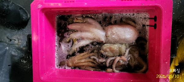DateCamera0510030225.jpg