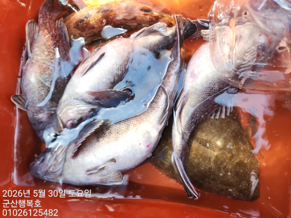 군산행복호_사진_20260530_11.jpg