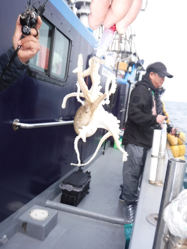 DSCF5749.JPG