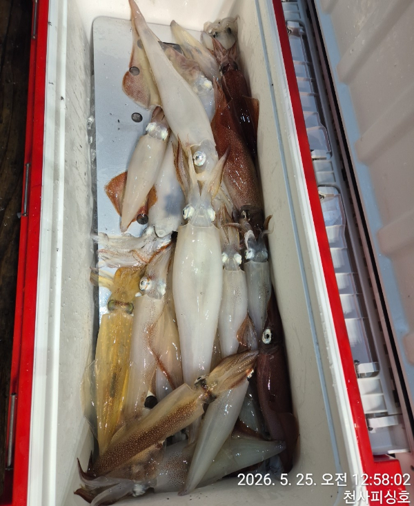 1004피싱_사진_20260525_13.jpg