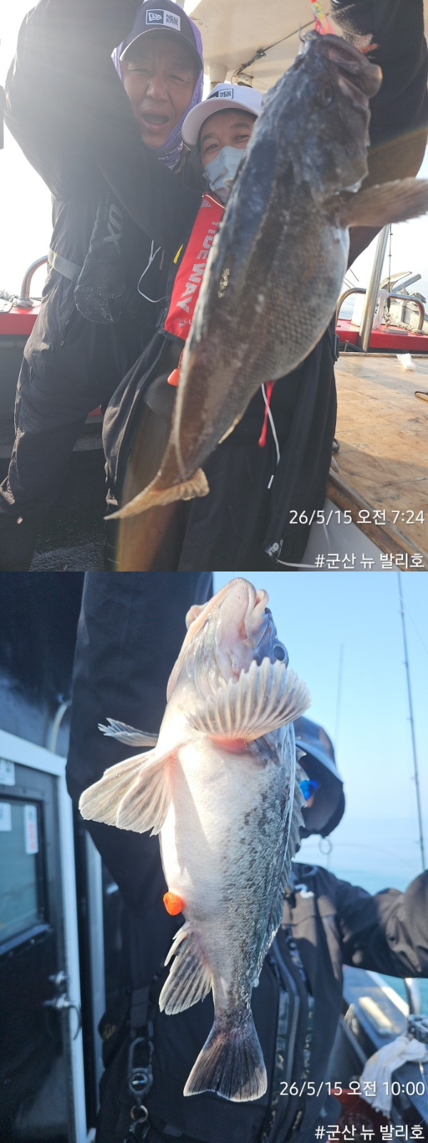 KakaoTalk_20260515_094958344_03-vert222222.jpg