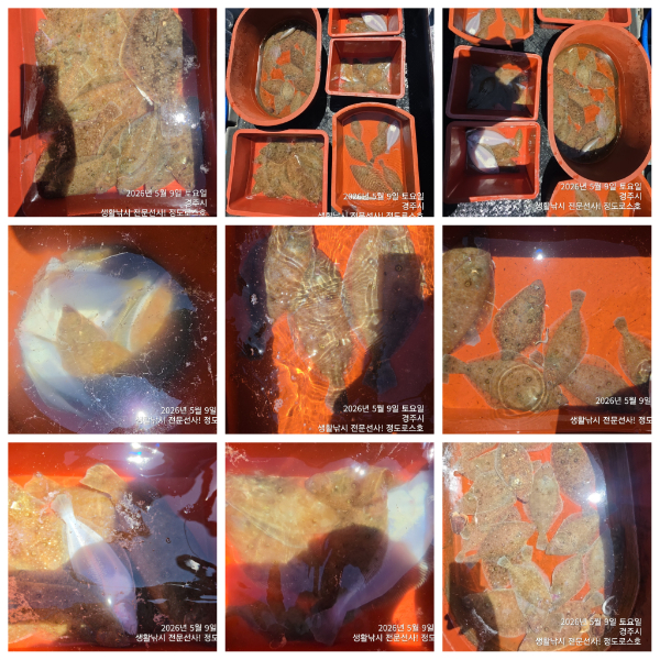 PhotoCollage_1778306727178.jpg