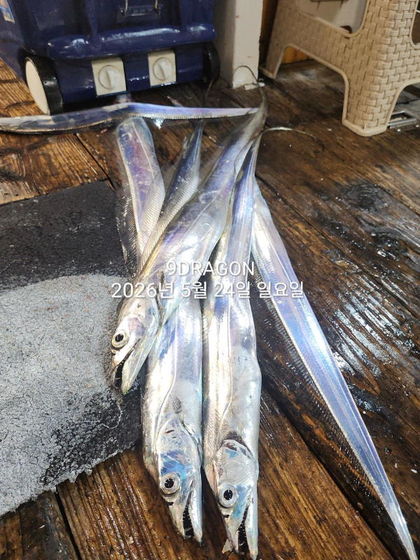 35289539-34BD-411F-8269-71F1739192E8.jpeg