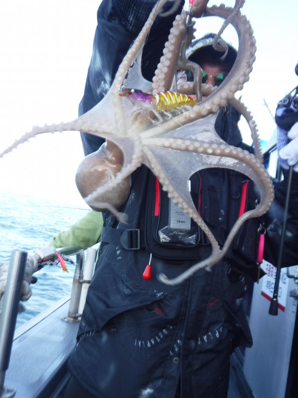 DSCF5660.JPG