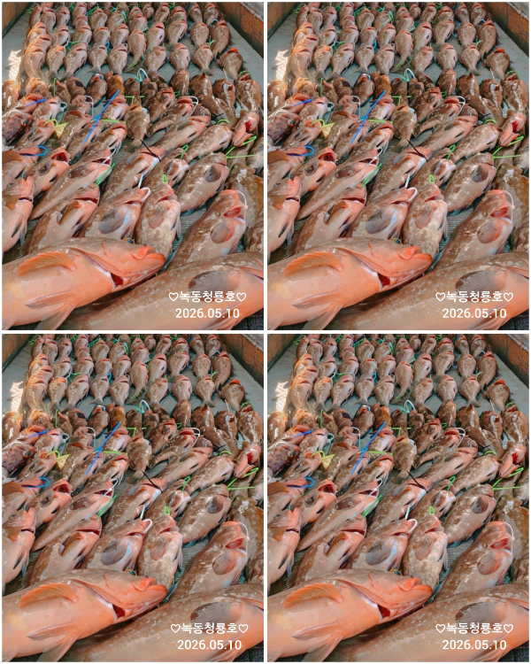 1000057650.jpg