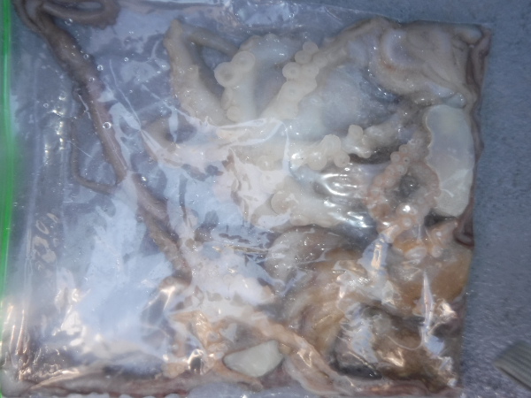 DSCF5693.JPG