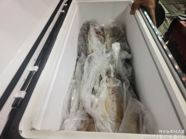5월25일한치 (14).jpg