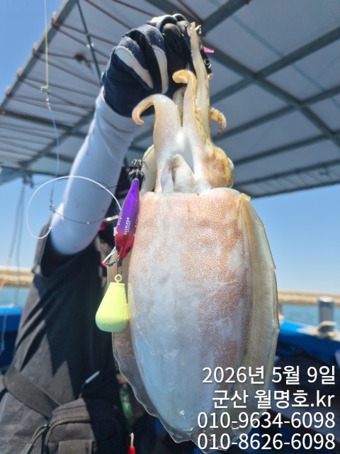 6715.jpg