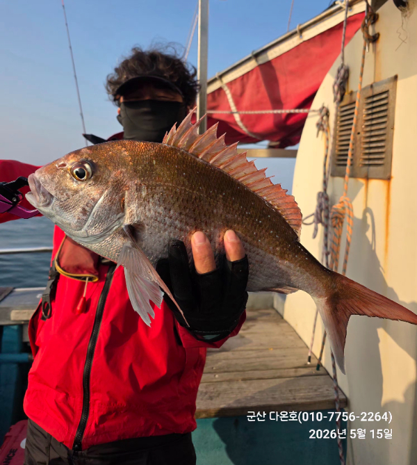 KakaoTalk_20260515_132328455_07.jpg