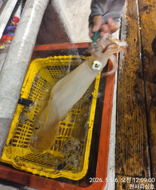 1004피싱_사진_20260526_25.jpg