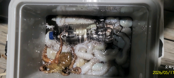 DateCamera0517010608.jpg