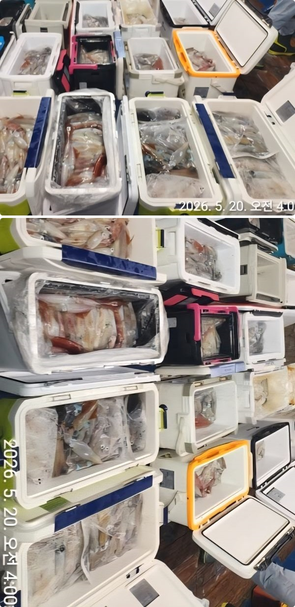 한치하.jpg