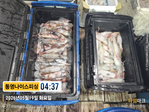 2026-05-19 04.37.31__(제목-통영나이스피싱).jpg