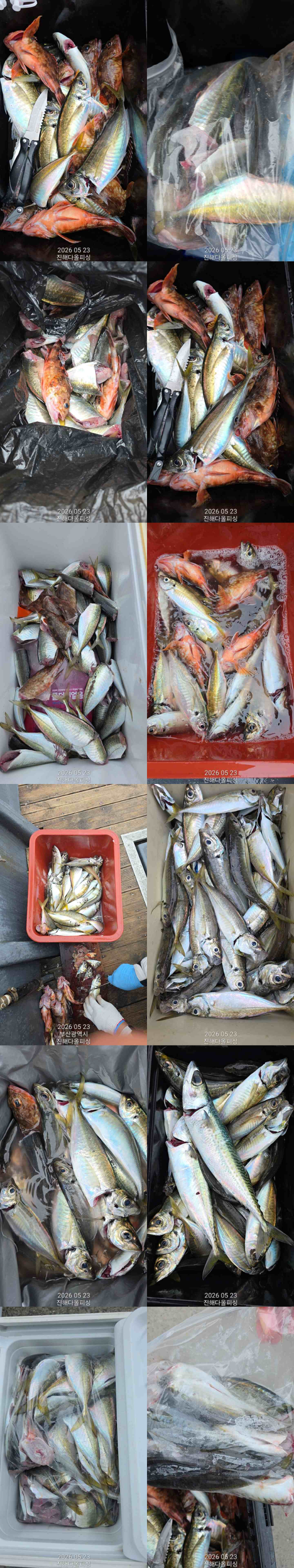 615a50a2-93ed-4a48-8408-7c0226ab5acd-1_all_2327.jpg