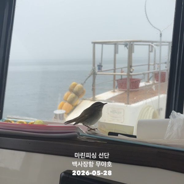 TC_00947.jpeg