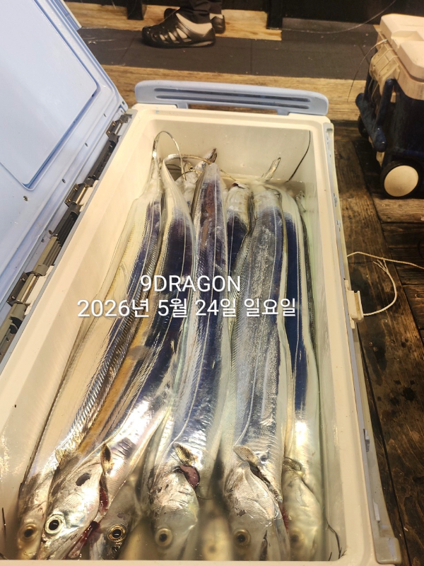 AAFB829F-8E0B-4581-950E-B047E5B8176C.jpeg