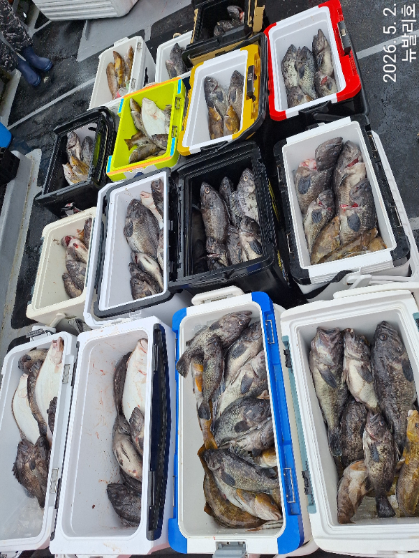 KakaoTalk_20260502_164638490_04.jpg