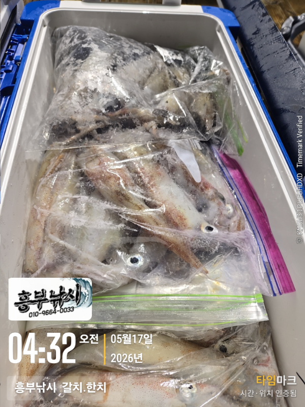 2026-05-17 04.32.50__(-흥부낚시  갈치.한치).jpg