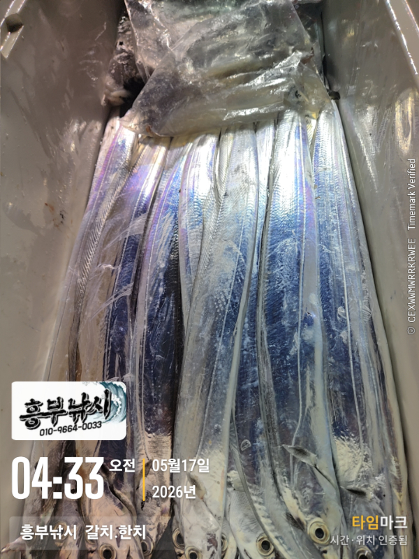 2026-05-17 04.33.34__(-흥부낚시  갈치.한치).jpg