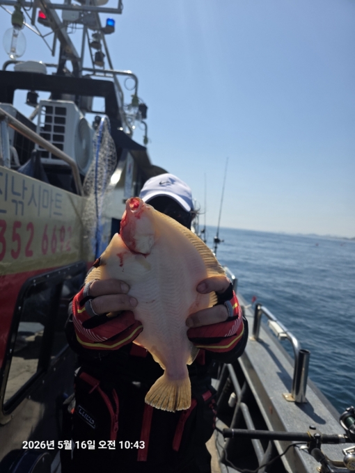 [크기변환]공현진낚시마트(돌핀호)_사진_20260516_2.jpg
