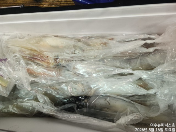 5월16일한치 (3).jpg