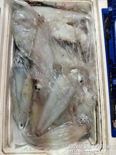 1000024655.jpg